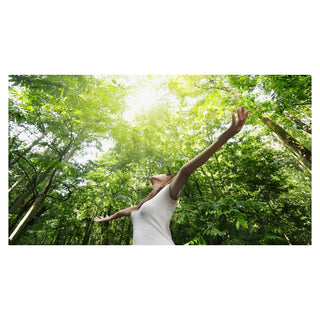 Respiratory System - Sinuses and lungs - Shortness of breath