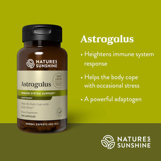 Astragalus (100 caps)  <br>Boosts your immune system