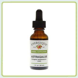 Astragalus 1 oz.