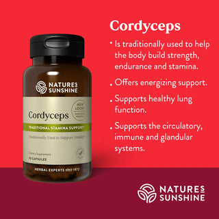 Cordyceps <br>Promotes energy, stamina, endurance, strength, lung function