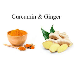 Advanced Curcumin Elite™ <br>Turmeric Extract, Ginger & Turmerones