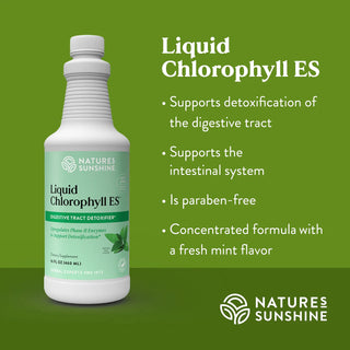 Chlorophyll Liquid ES <br>Promotes intestinal, digestive and immune health