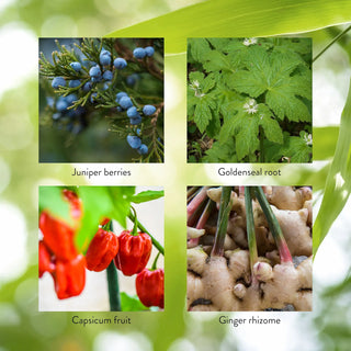 P-X 100 caps<!px!><br>Supports the urinary system,  kidney function