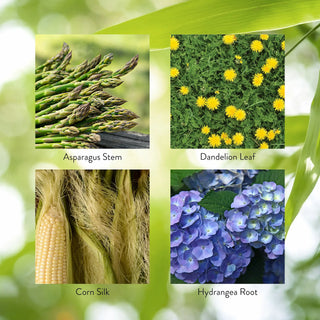 Urinary Maintenance (120 caps) <br>Promotes healthy urinary function