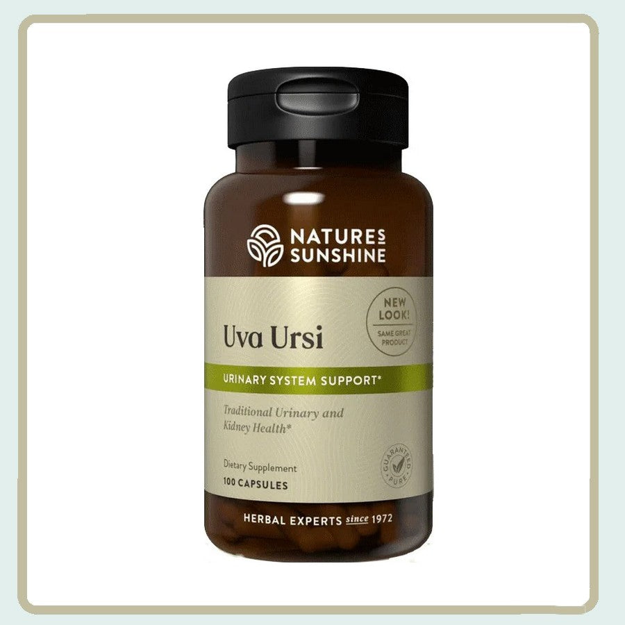 Image showcasing Uva UrsiSoothes & supports the urinary system, promotes urine flow