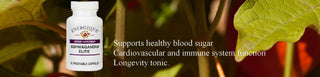 Ashwagandha Elite: Nerve system, anti-aging, adrenal, immune benefits