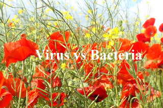 Viruses vs Bacteria <br>Explanation and supporting products