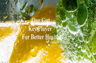 The Gut <br> A key player for better health
