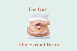 Gut-Brain Bidirectional Communication