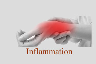 Inflammation:  Primary response to damages