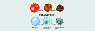 Oxidative Stress plays a role in many health conditions