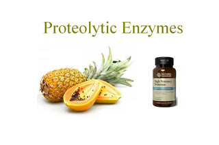The Importance of Proteolytic Enzymes