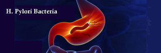 Helicobacter Pylori About