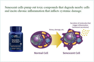 Senolytics: A Major Anti-Aging & Wellness Advance