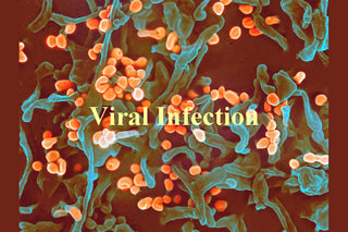 About Viral Infection