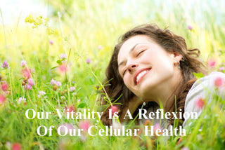 Anti-Aging - At The Cellular Level