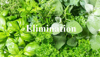 Bowel : Elimination<br>Supporting the body's detoxification systems