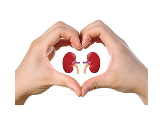 Kidneys <BR> Kidney failure is a life threatening situation.