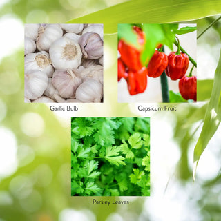 Capsicum & Garlic w/Parsley (100 caps) <br> Cardiovascular health