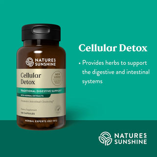 Cellular Detox <br>Proper bowel function & the elimination of toxins
