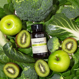 Chlorophyll <br>Promotes intestinal, digestive and immune health.