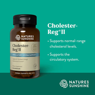 Cholester-Reg II <br>Promotes healthy circulatory and cholesterol levels