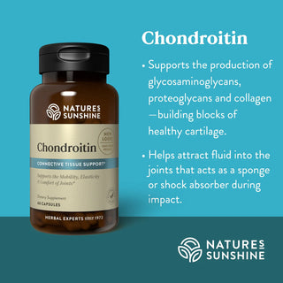 Chondroitin <br>Chondroitin supports mobility and flexibility (joints)
