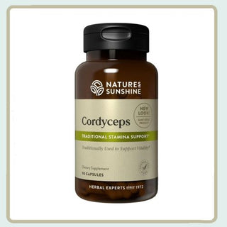 Cordyceps <br>Promotes energy, stamina, endurance, strength, lung function