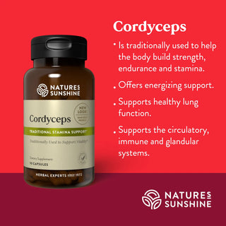 Cordyceps <br>Promotes energy, stamina, endurance, strength, lung function
