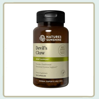 Devil's Claw <br>Nutritional aid for the structural system.
