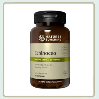 Echinacea <br>Unfriendly environment for bacterial invaders
