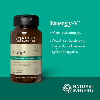 Energ-V <br>Provides circulatory, thyroid, and nervous system support