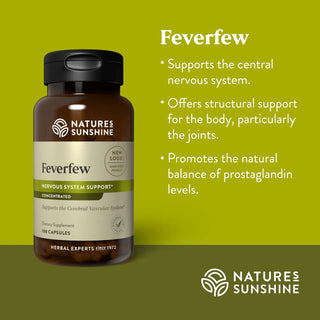Feverfew Conc.<br>Targets and supports the cerebral vascular system