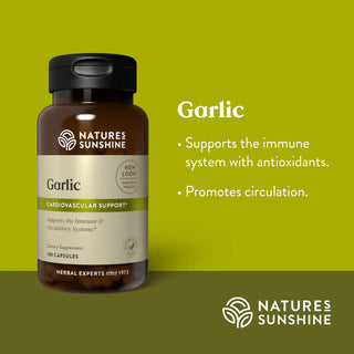 Garlic <br>Provides antioxidants to support the immune system