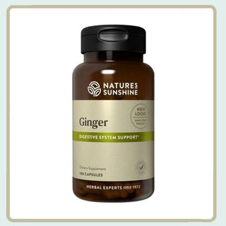 Ginger<br>Occasional stomach discomfort and motion sickness