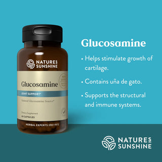 Glucosamine<br> Stimulates and maintain joint movement and flexibility.
