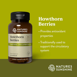 Hawthorn Berries<br>Traditionally used to support the circulatory system
