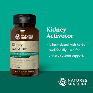 Kidney Activator ATC<br>Helps urine flow & relief - supports kidneys & bladder
