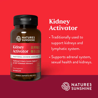 Kidney Activator Chinese<br>Supports kidneys, bladder & urinary tract