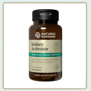 Kidney Activator<br>Support for urinary system, bladder and kidneys.