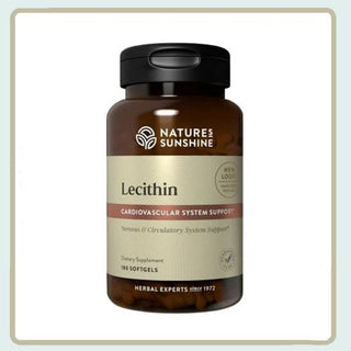 Lecithin<br>Protective sheaths for the nerves throughout your body
