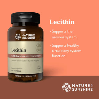 Lecithin<br>Protective sheaths for the nerves throughout your body