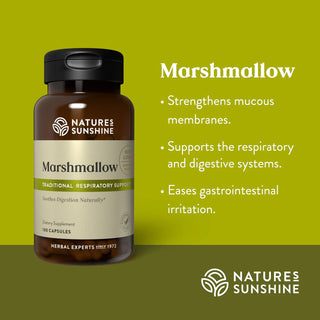 Marshmallow<br>Soothing mucilage to ease gastrointestinal irritation
