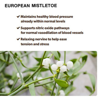 European Mistletoe - 1 oz.  Has a vitalizing, anti-aging, and cellular-protective effects
