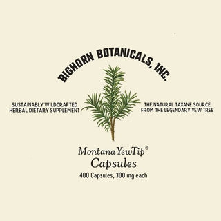 Montana YewTip Capsules, 400 caps per bottle
