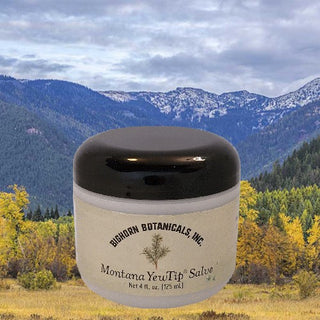 Montana YewTip Salve- 4 ounces
