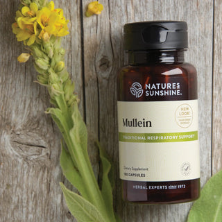 Mullein<br>Supports healthy lungs & soothes the respiratory system