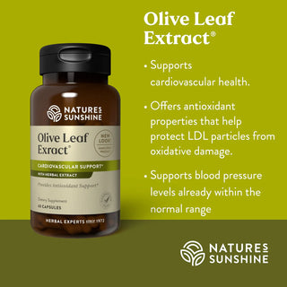 Olive Leaf Conc.<br>Blood sugar, blood pressure, cardiovascular health
