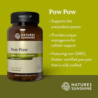 Paw Paw (180 caps) <br>To support the body’s overall health.