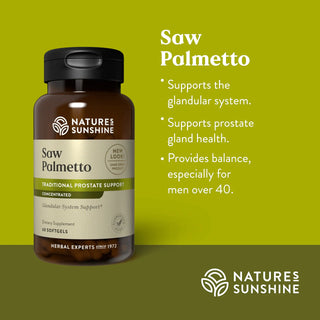 Saw Palmetto Conc.<br>Supports glandular system & prostate gland
